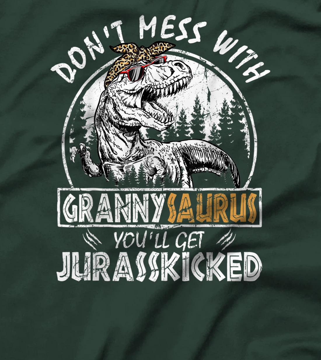 Don't Mess With Grannysaurus Youll Get Jurasskicked Granny T-Shirt, Kid T-Shirt and Women T-Shirt