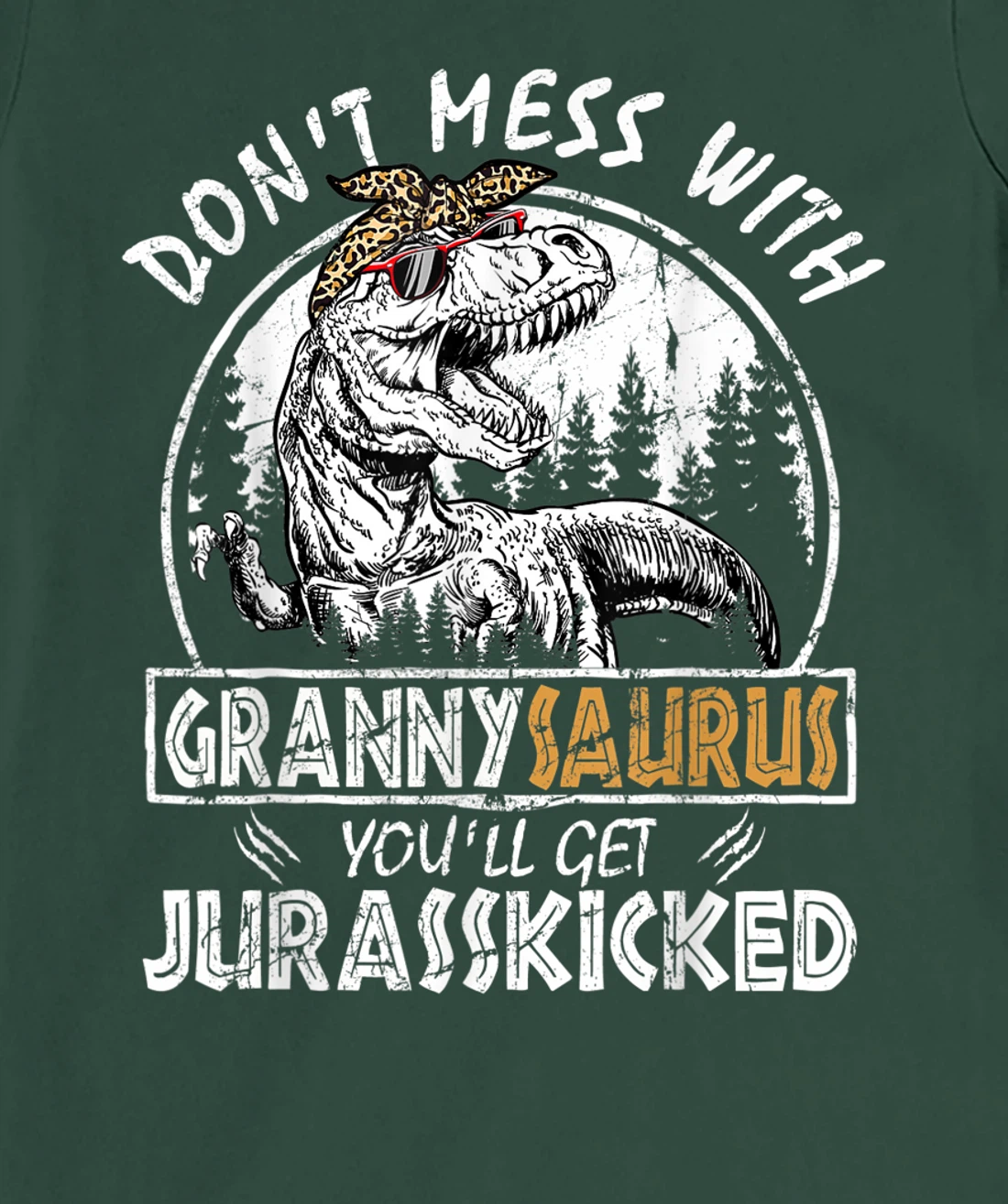 Don't Mess With Grannysaurus Youll Get Jurasskicked Granny T-Shirt, Kid T-Shirt and Women T-Shirt