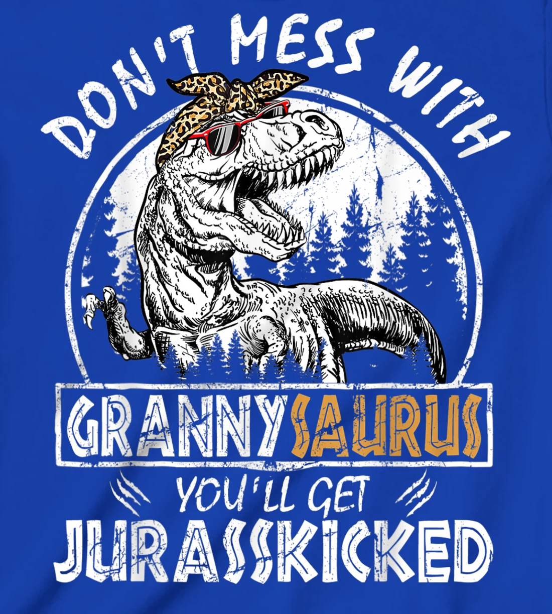 Don't Mess With Grannysaurus Youll Get Jurasskicked Granny T-Shirt, Kid T-Shirt and Women T-Shirt