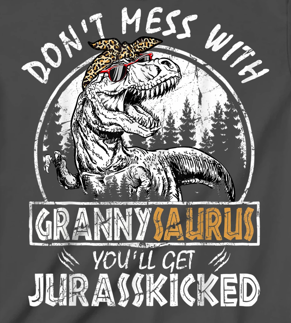 Don't Mess With Grannysaurus Youll Get Jurasskicked Granny T-Shirt, Kid T-Shirt and Women T-Shirt