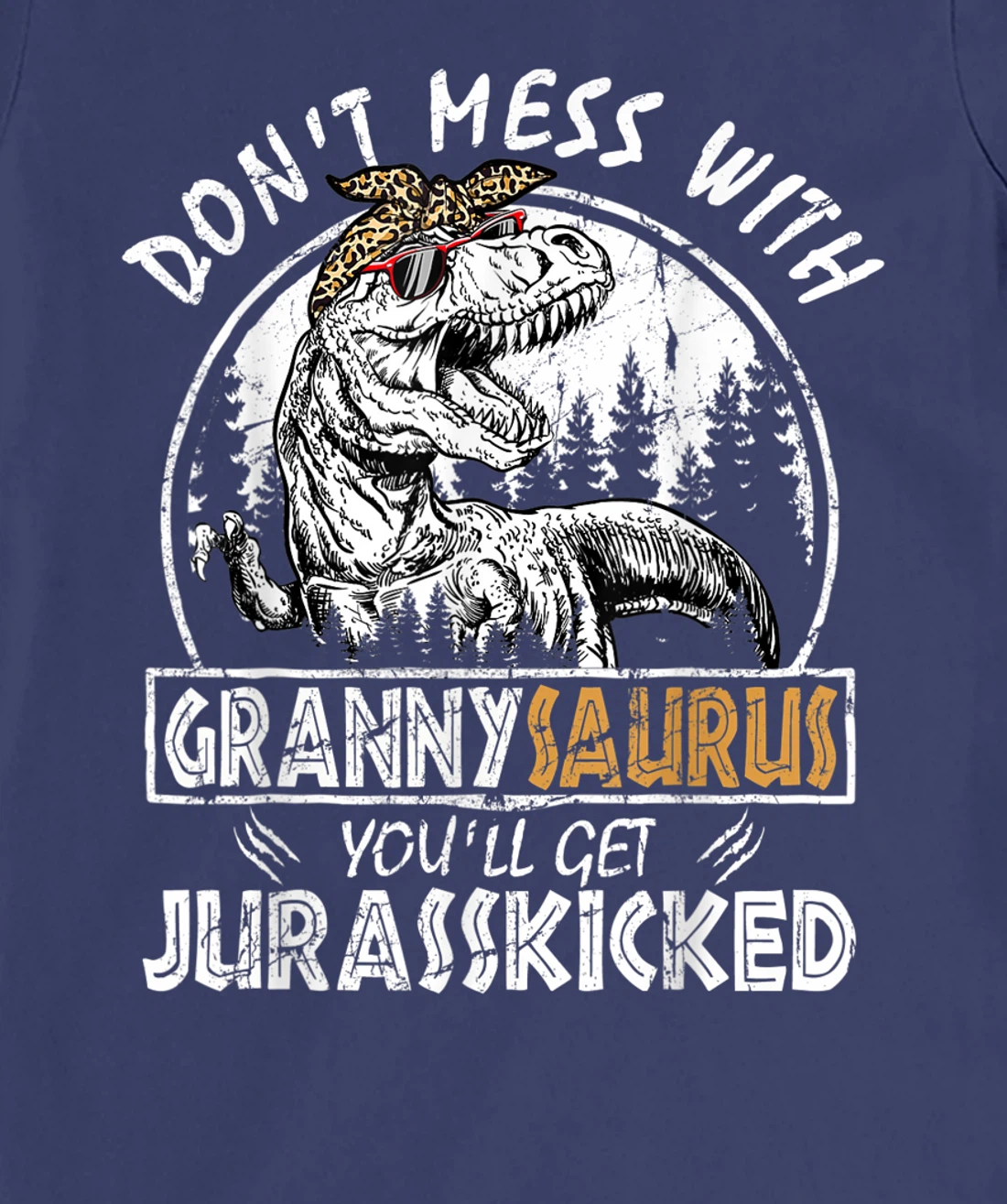 Don't Mess With Grannysaurus Youll Get Jurasskicked Granny T-Shirt, Kid T-Shirt and Women T-Shirt