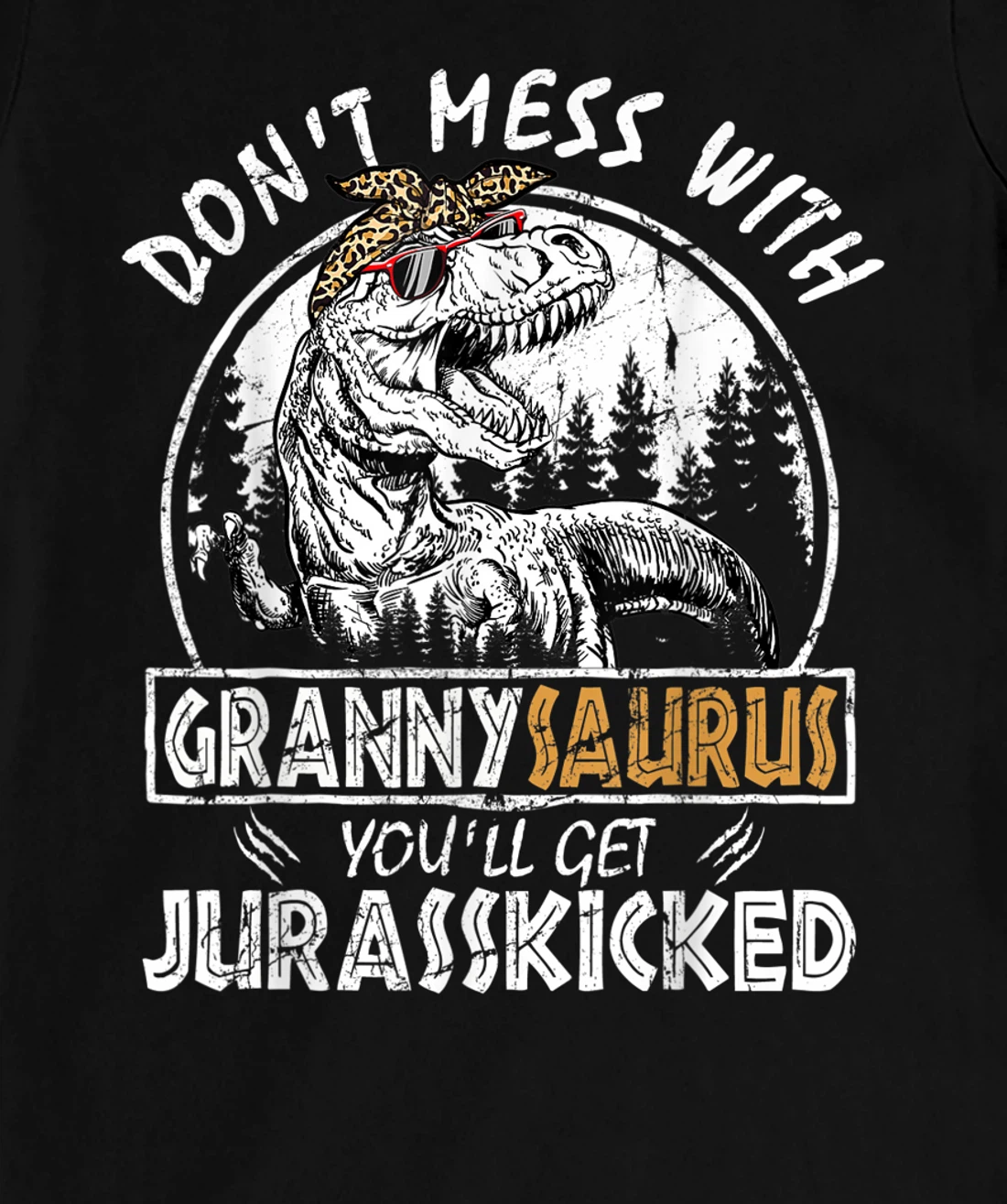 Don't Mess With Grannysaurus Youll Get Jurasskicked Granny T-Shirt, Kid T-Shirt and Women T-Shirt