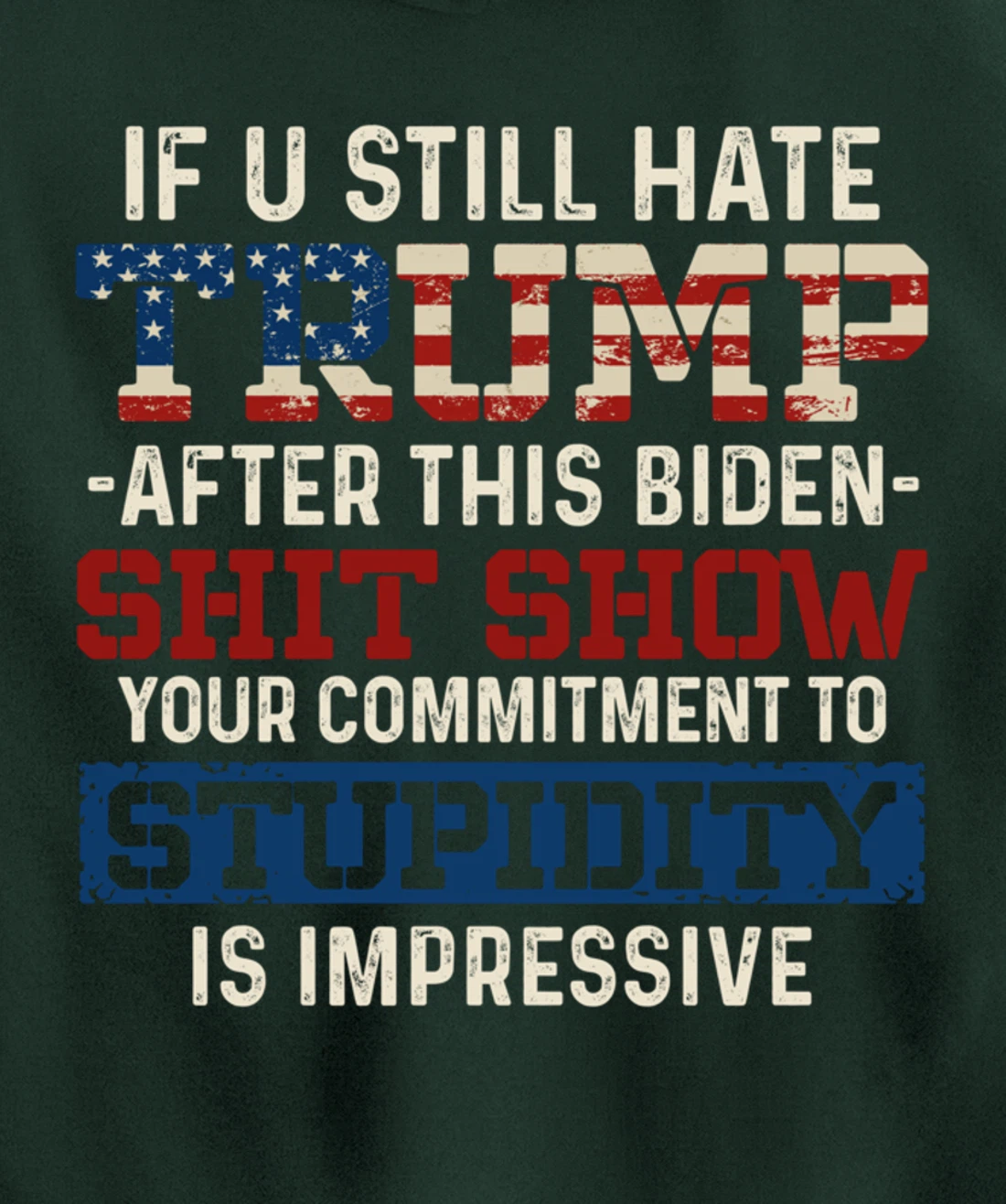 Trump Pullover Hoodie