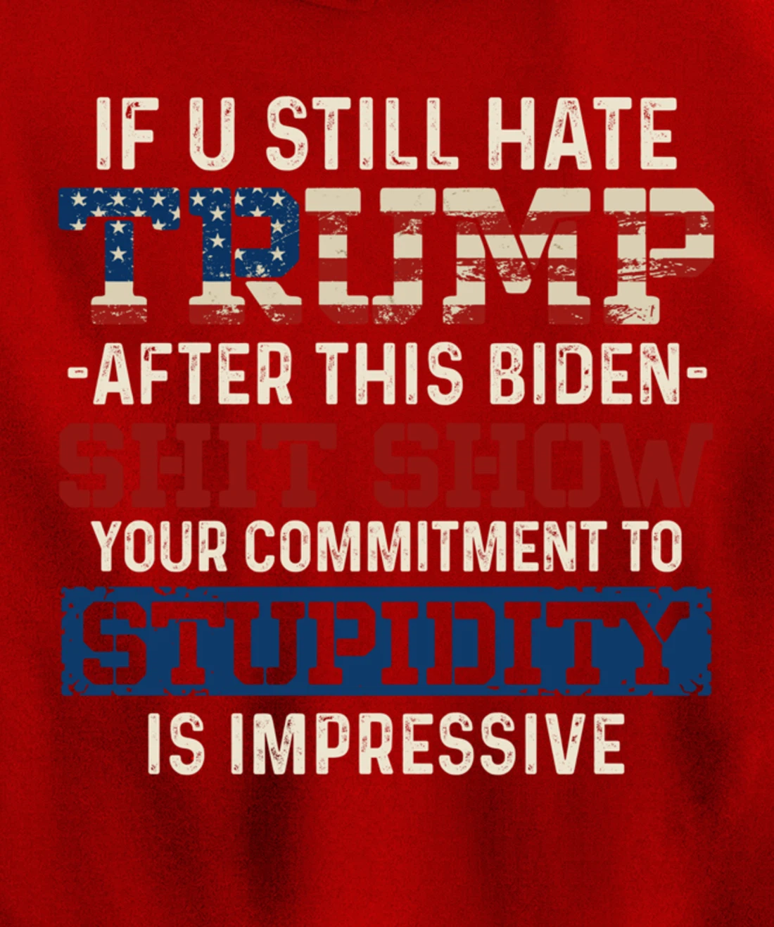 Trump Pullover Hoodie