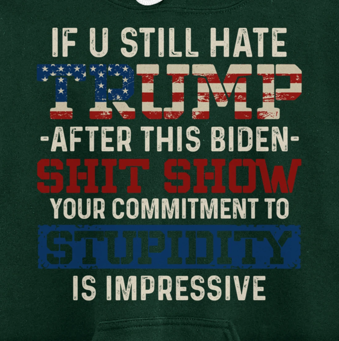 Trump Pullover Hoodie