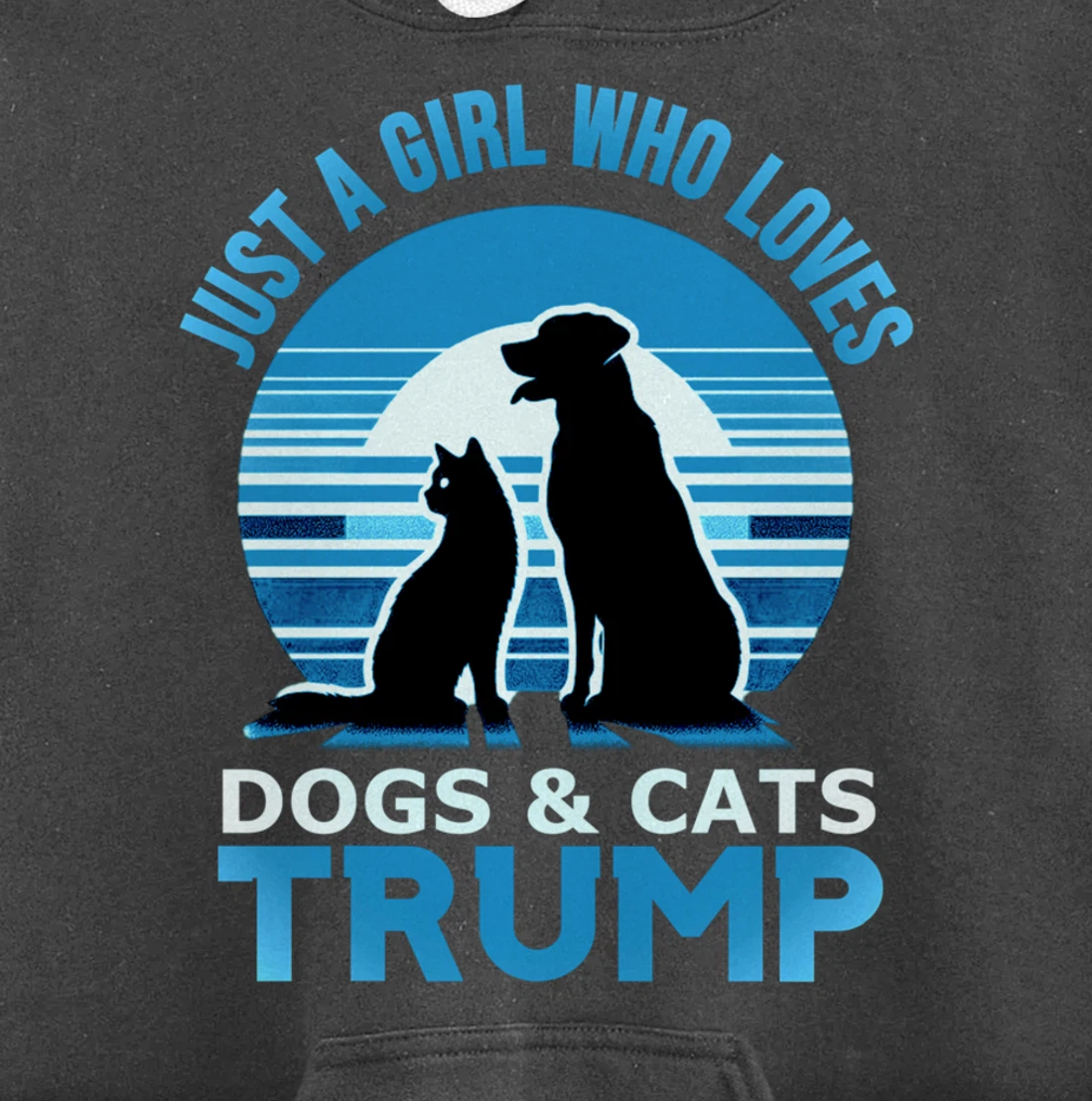 funny Just A Girl Who Loves Dogs And cats and donald trump Pullover Hoodie