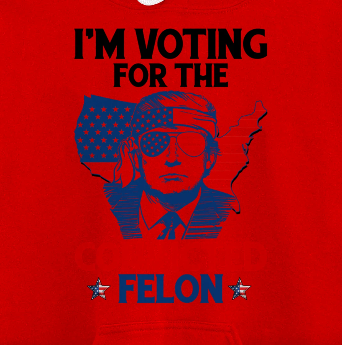 I'm Voting For The Convicted Felon Funny Pro Trump 2024 Pullover Hoodie
