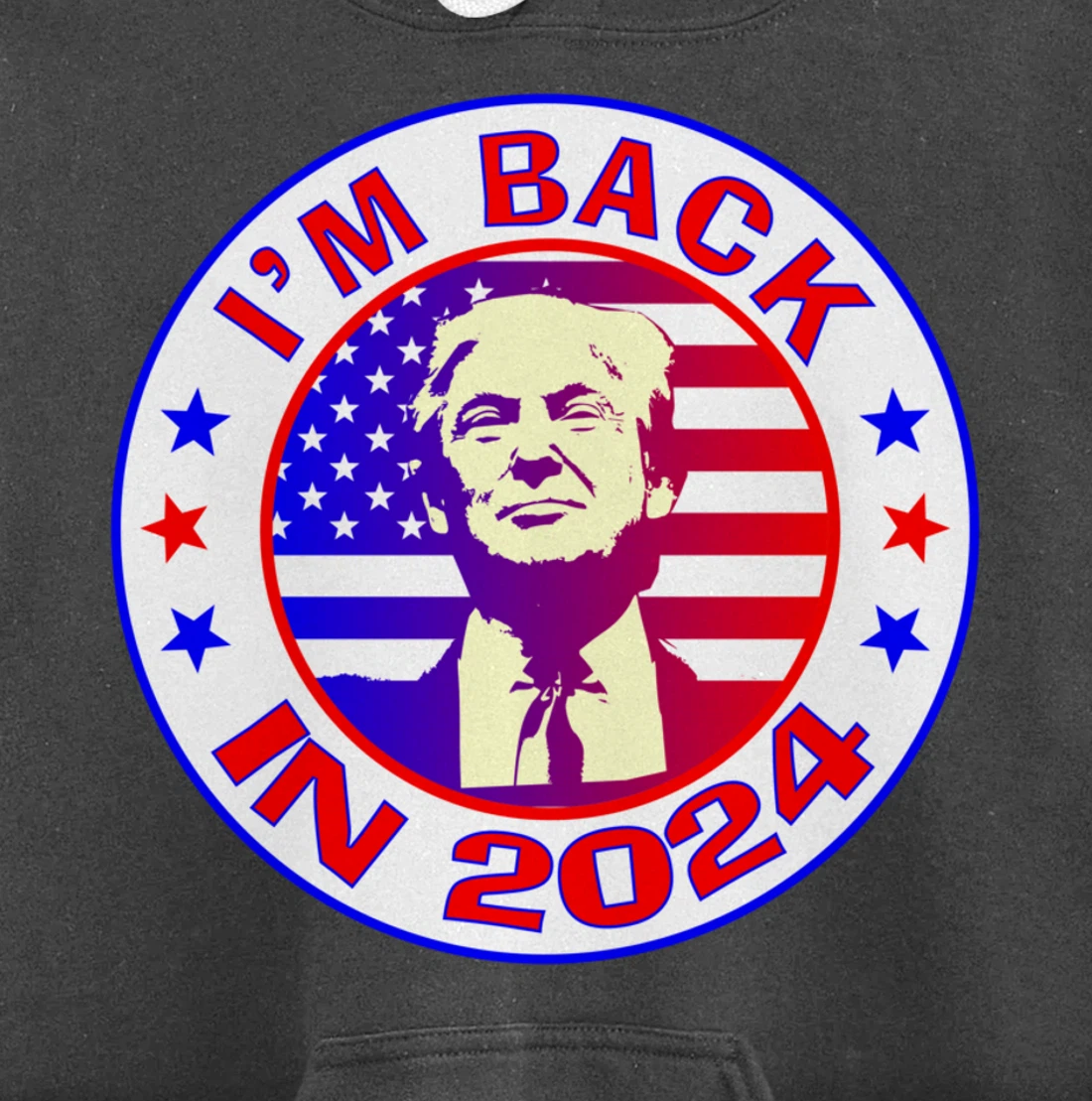 Trump 2024 Pullover Hoodie