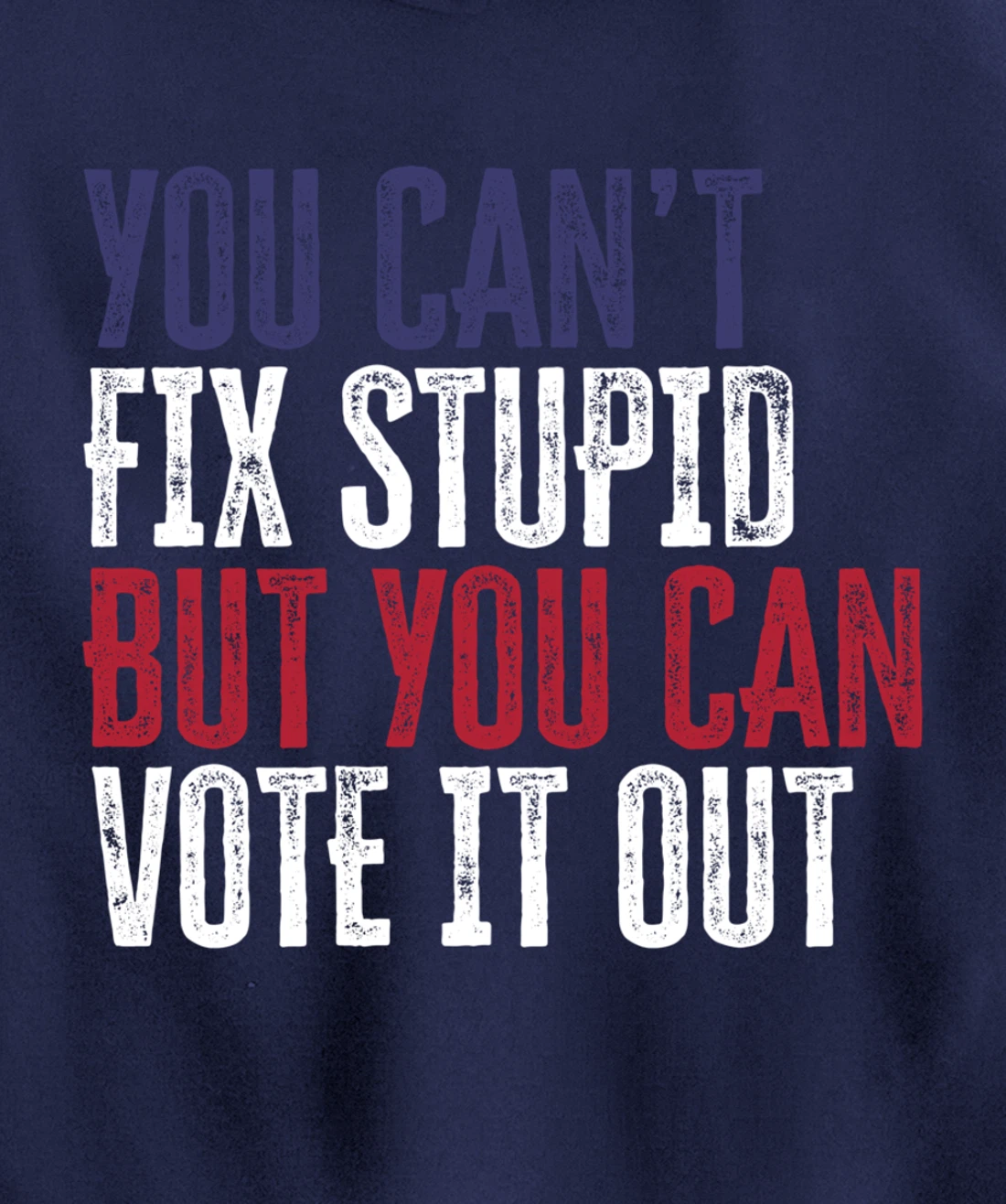 You Can't Fix Stupid But You Can Vote It Out | Anti Trump Pullover Hoodie