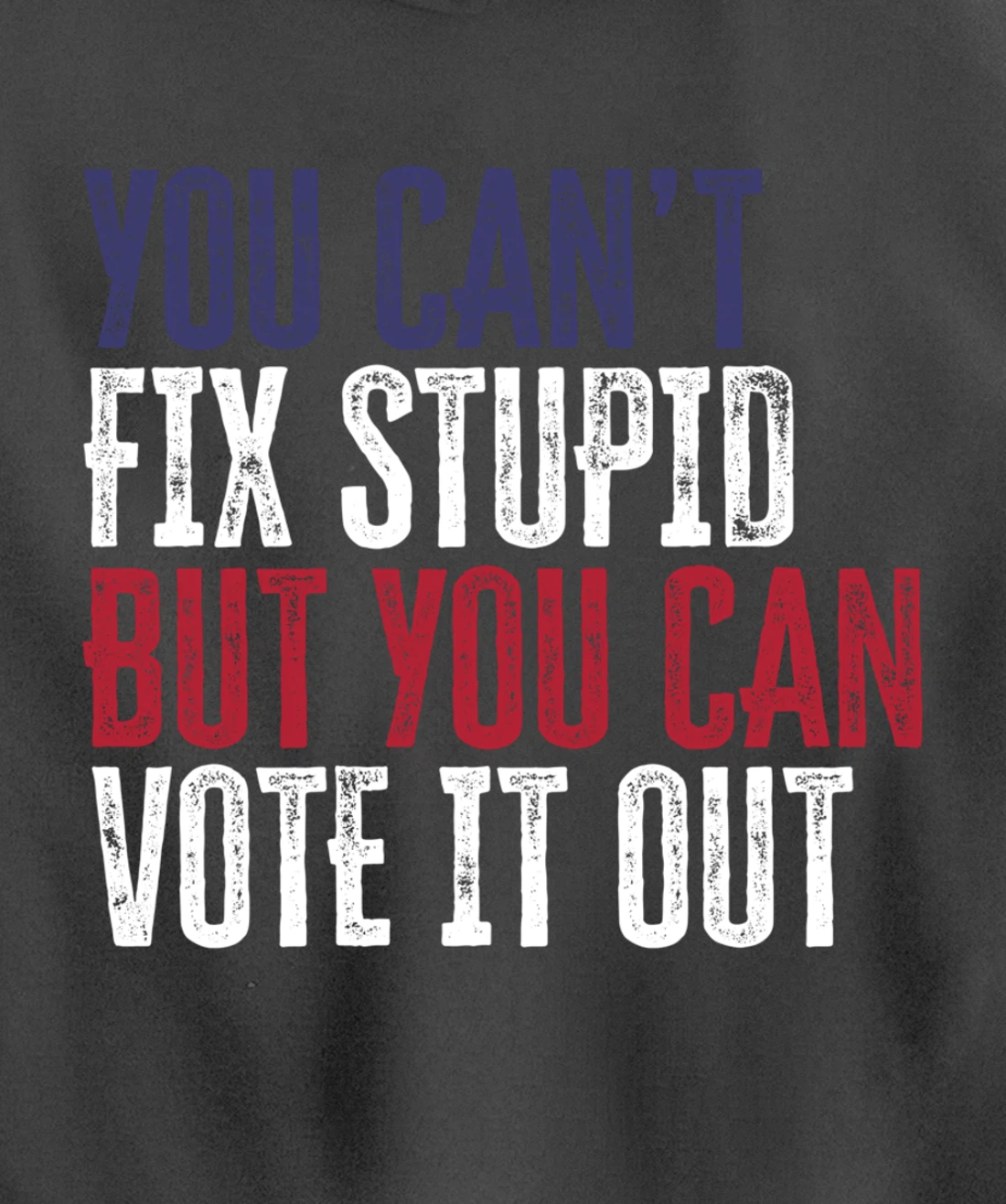 You Can't Fix Stupid But You Can Vote It Out | Anti Trump Pullover Hoodie