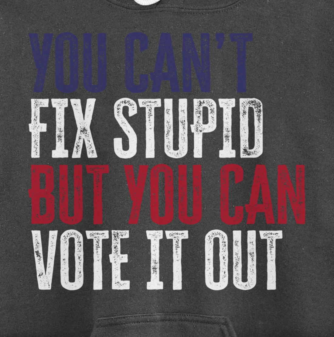 You Can't Fix Stupid But You Can Vote It Out | Anti Trump Pullover Hoodie