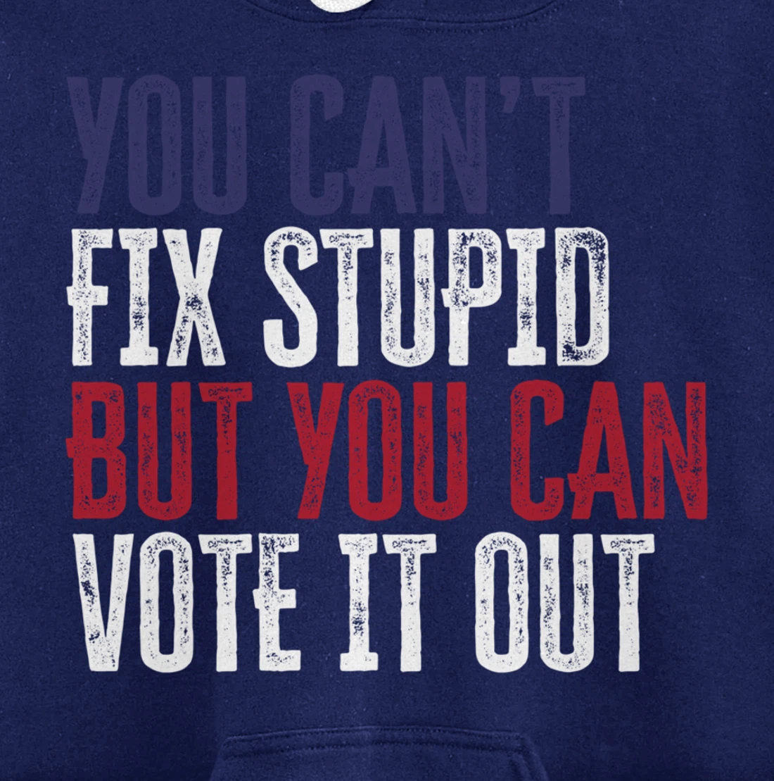 You Can't Fix Stupid But You Can Vote It Out | Anti Trump Pullover Hoodie