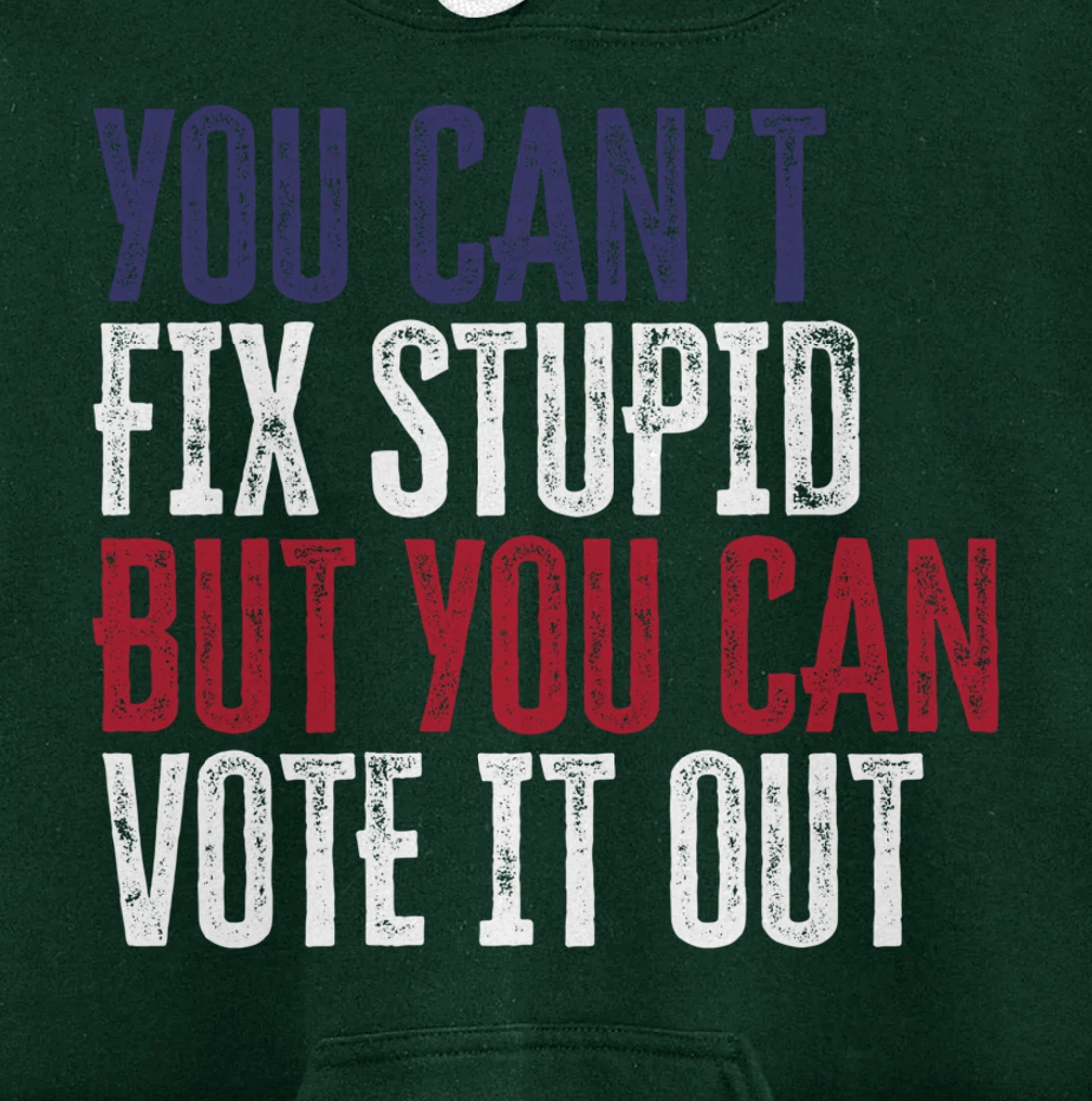 You Can't Fix Stupid But You Can Vote It Out | Anti Trump Pullover Hoodie