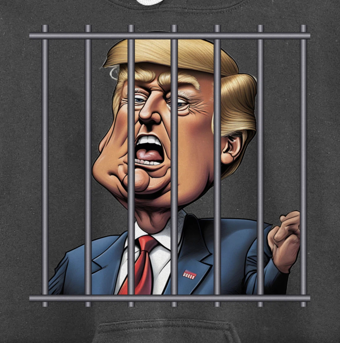 Trump Prison Pullover Hoodie