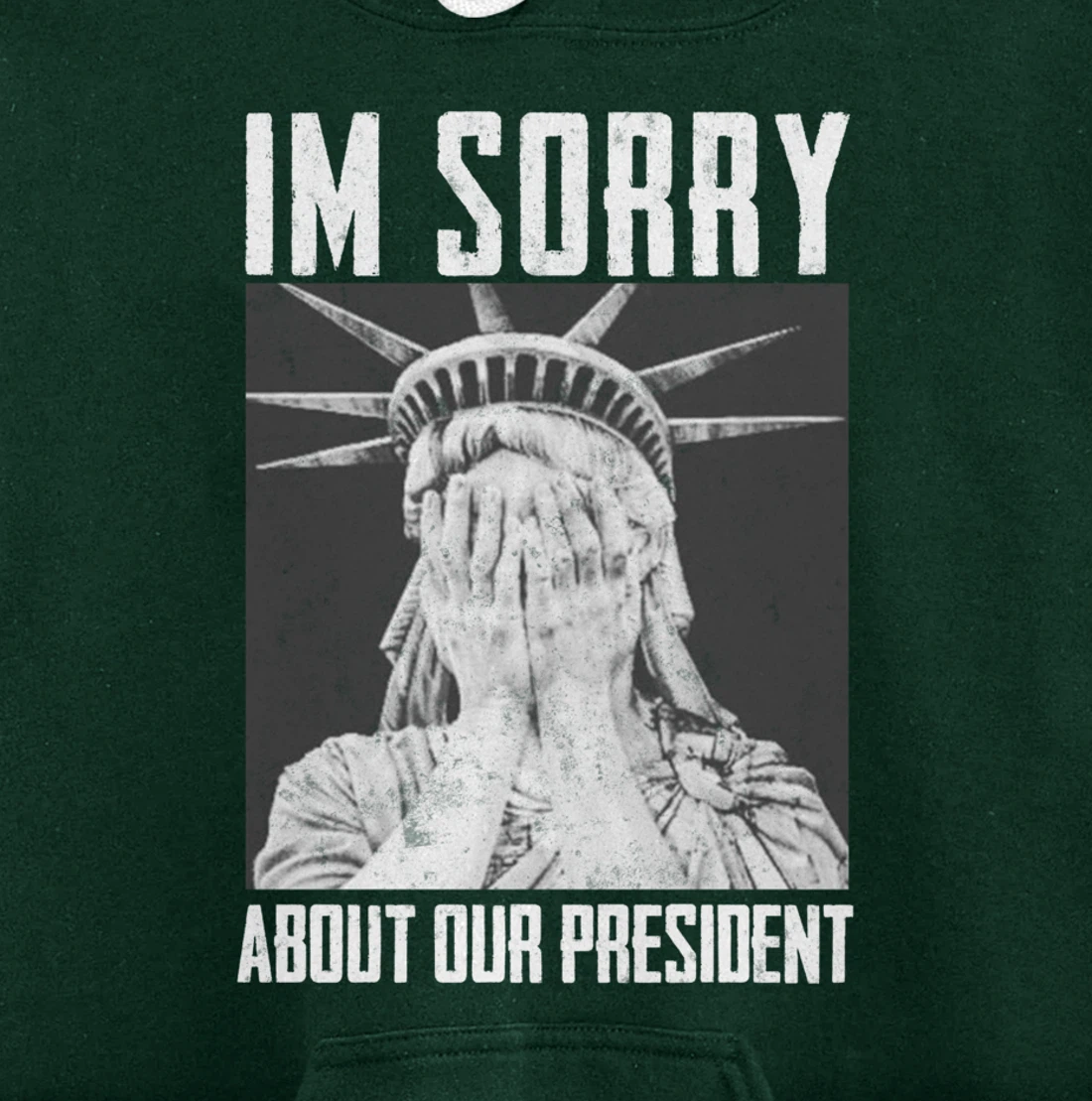 Funny Ashamed Statue of Liberty Political Anti-Trump RHINOS Pullover Hoodie