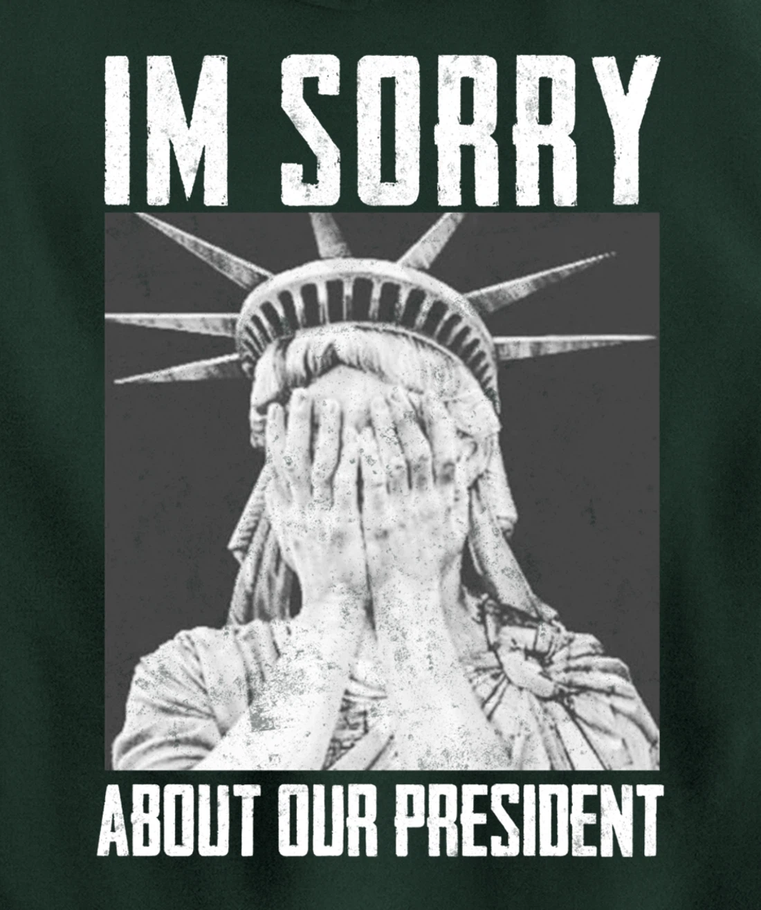 Funny Ashamed Statue of Liberty Political Anti-Trump RHINOS Pullover Hoodie