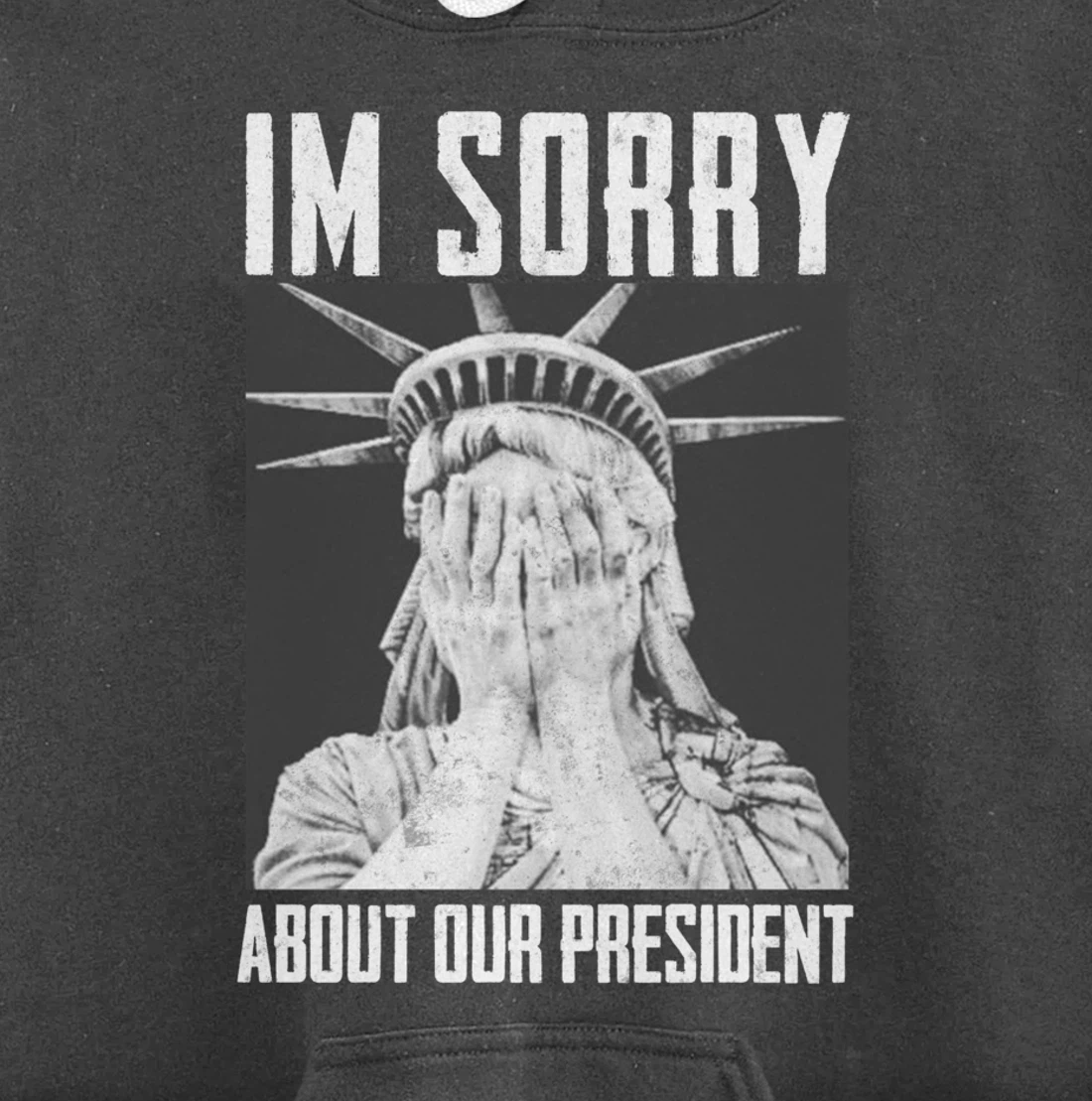 Funny Ashamed Statue of Liberty Political Anti-Trump RHINOS Pullover Hoodie