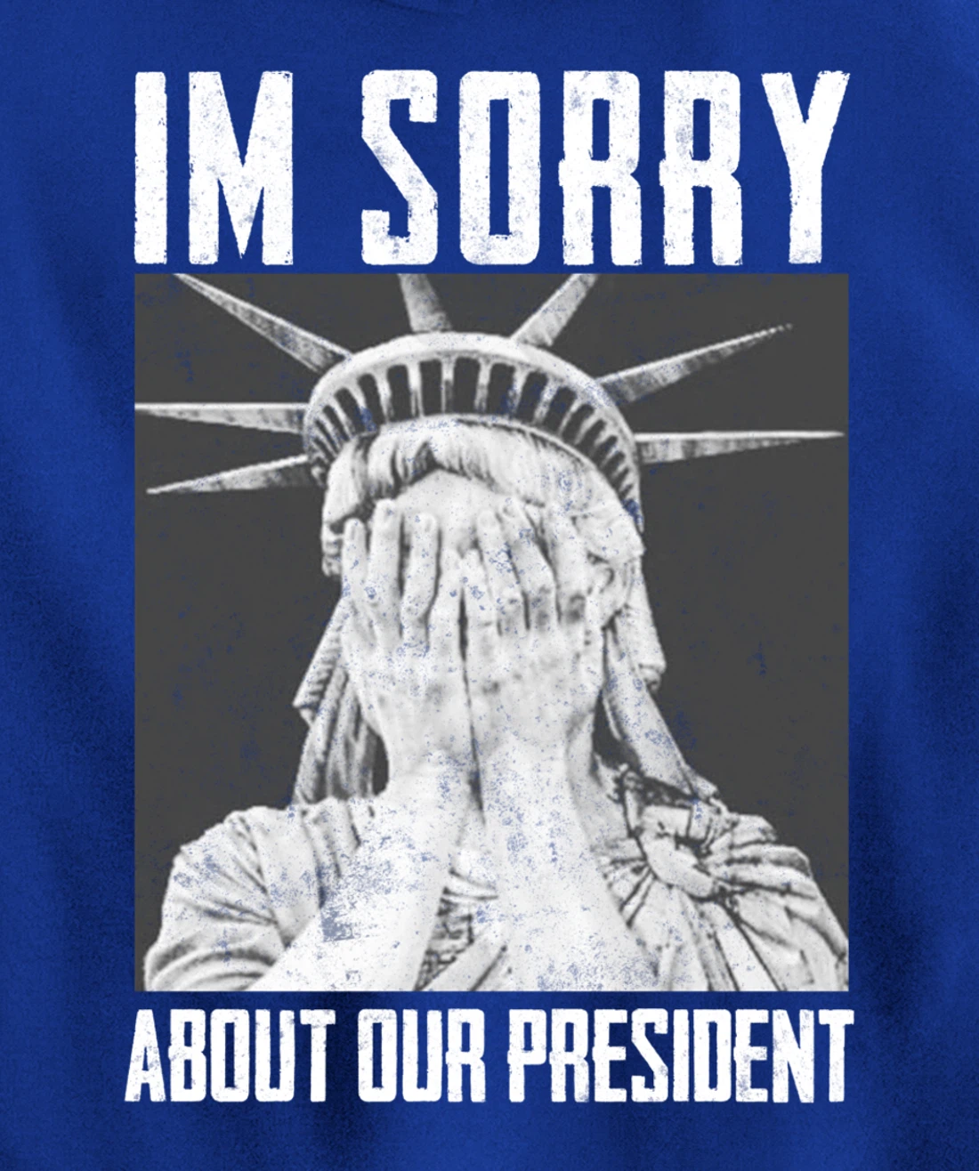 Funny Ashamed Statue of Liberty Political Anti-Trump RHINOS Pullover Hoodie