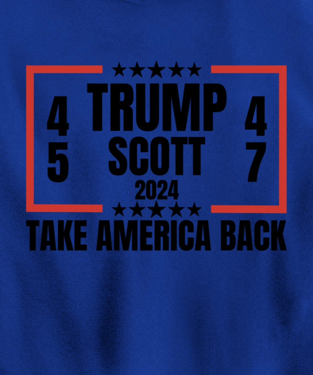 Trump Scott 2024 Take America Back Patriotic Pullover Hoodie