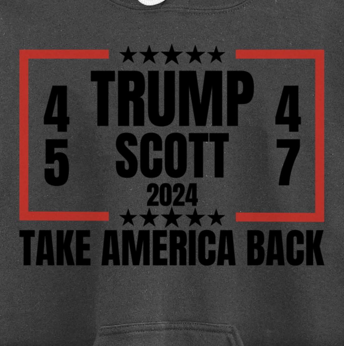Trump Scott 2024 Take America Back Patriotic Pullover Hoodie