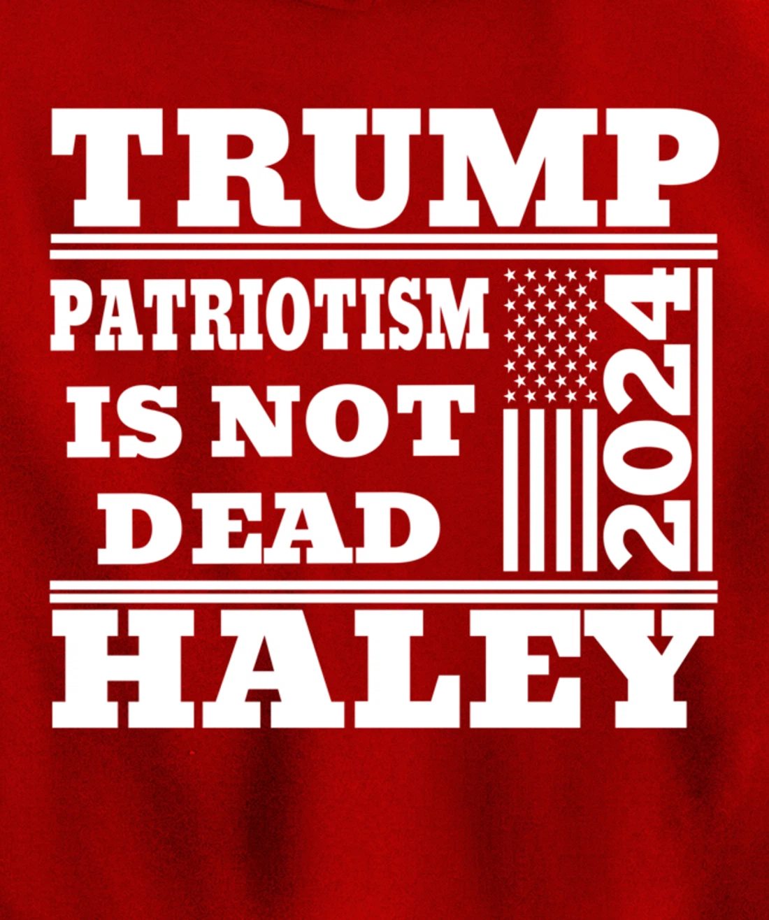 Trump Haley 2024 Patriotism American Flag Trump 2024 Pullover Hoodie