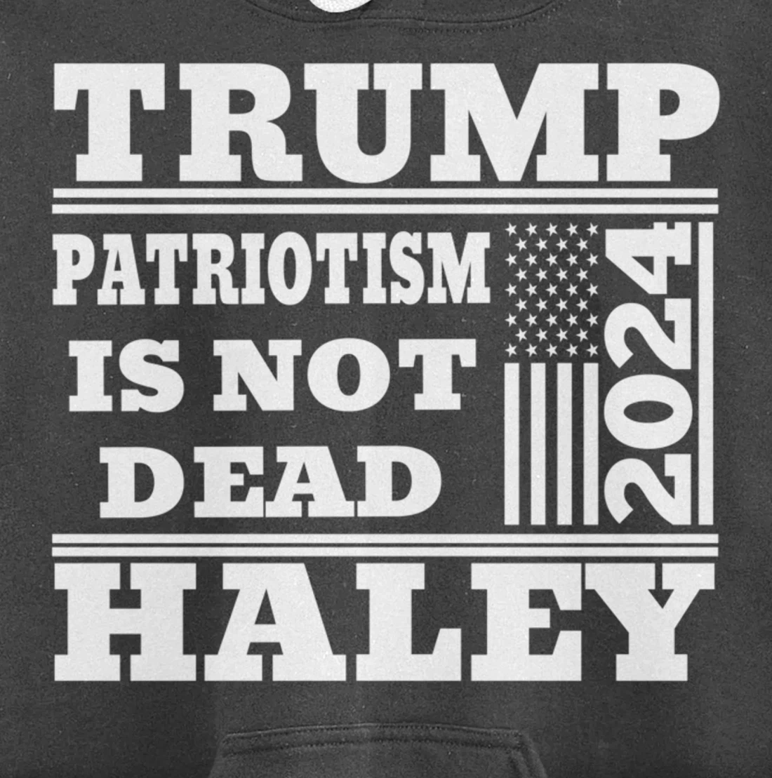 Trump Haley 2024 Patriotism American Flag Trump 2024 Pullover Hoodie