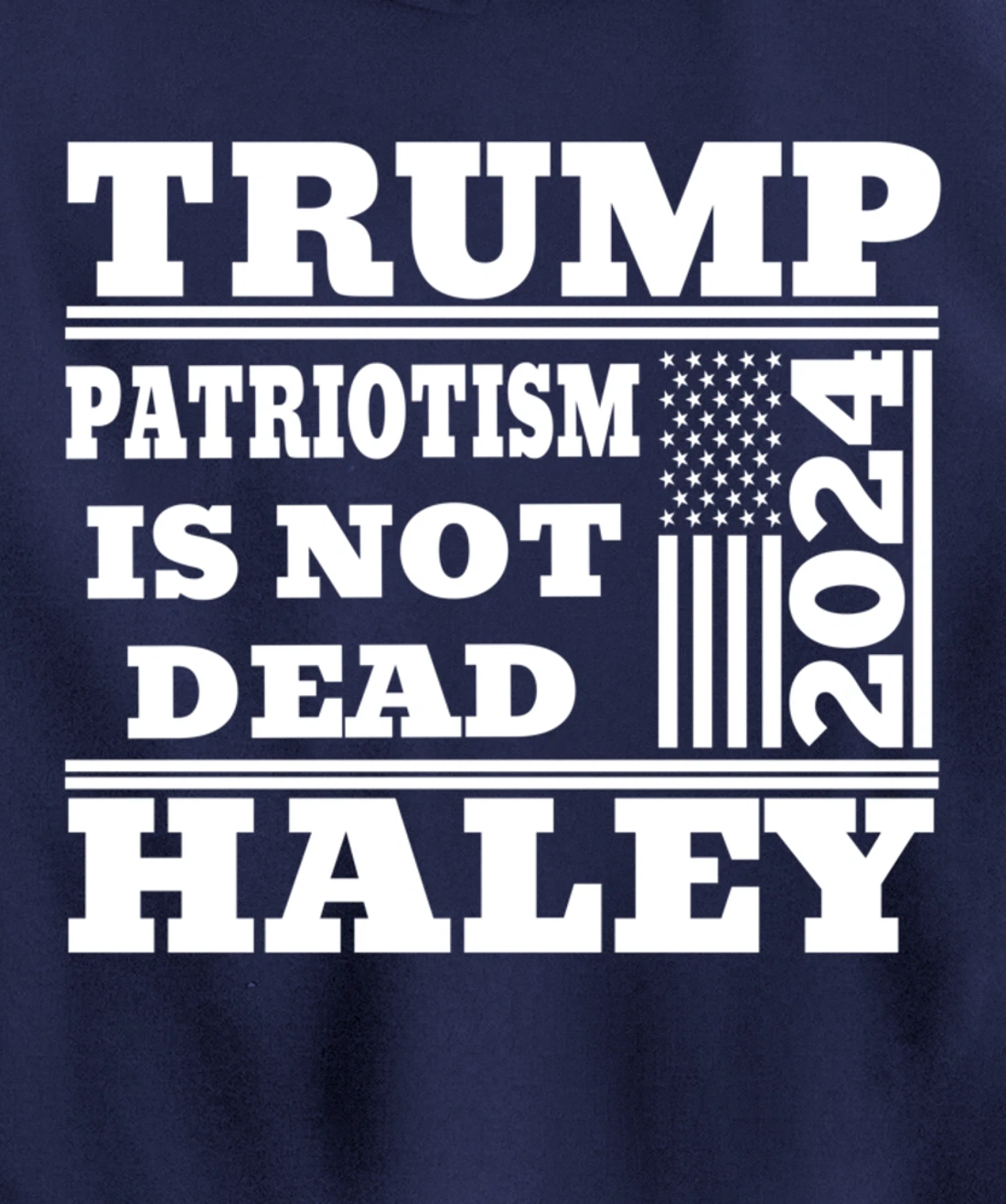 Trump Haley 2024 Patriotism American Flag Trump 2024 Pullover Hoodie