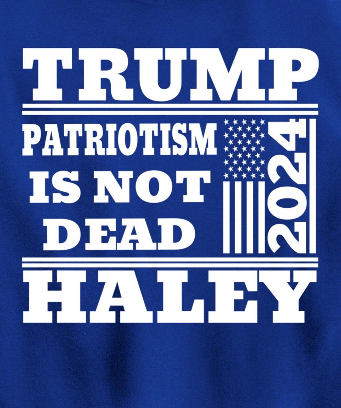 Trump Haley 2024 Patriotism American Flag Trump 2024 Pullover Hoodie