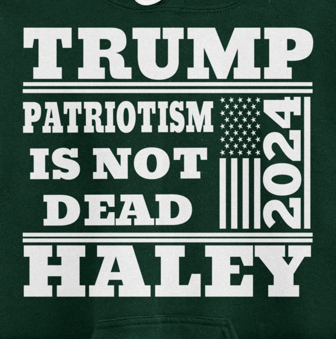 Trump Haley 2024 Patriotism American Flag Trump 2024 Pullover Hoodie