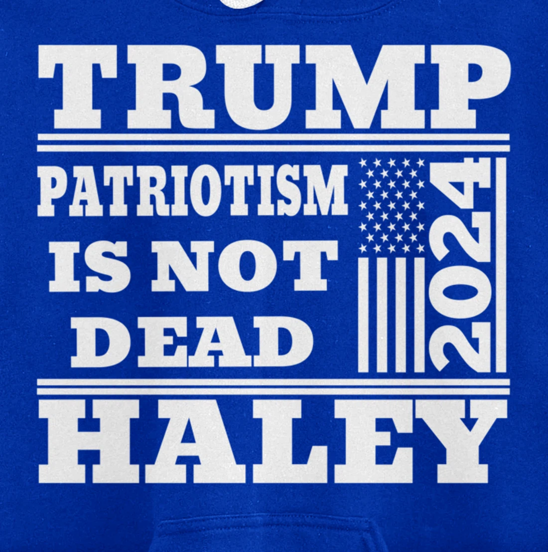 Trump Haley 2024 Patriotism American Flag Trump 2024 Pullover Hoodie