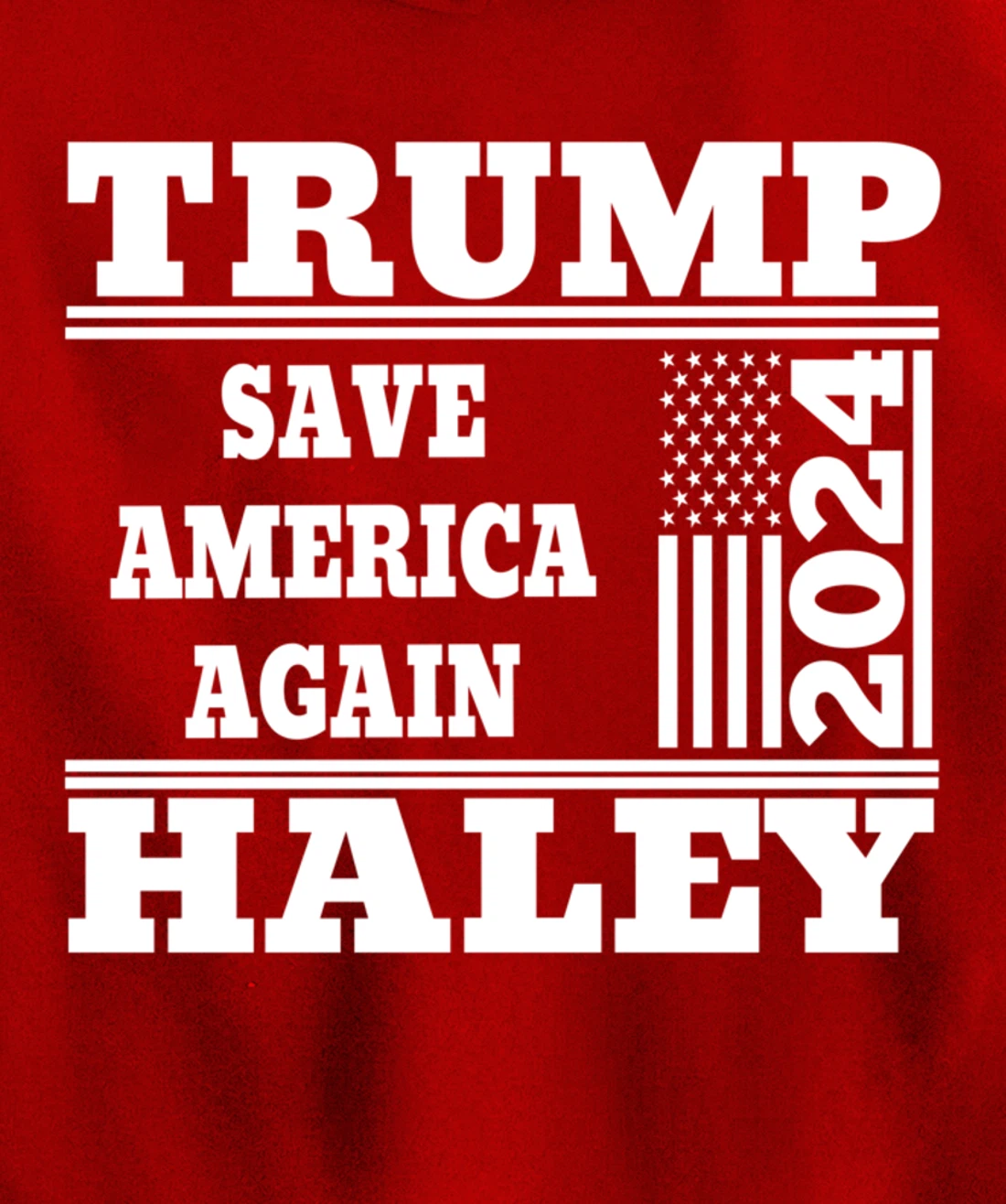Trump Haley 2024 Save America Again American Flag Trump 2024 Pullover Hoodie