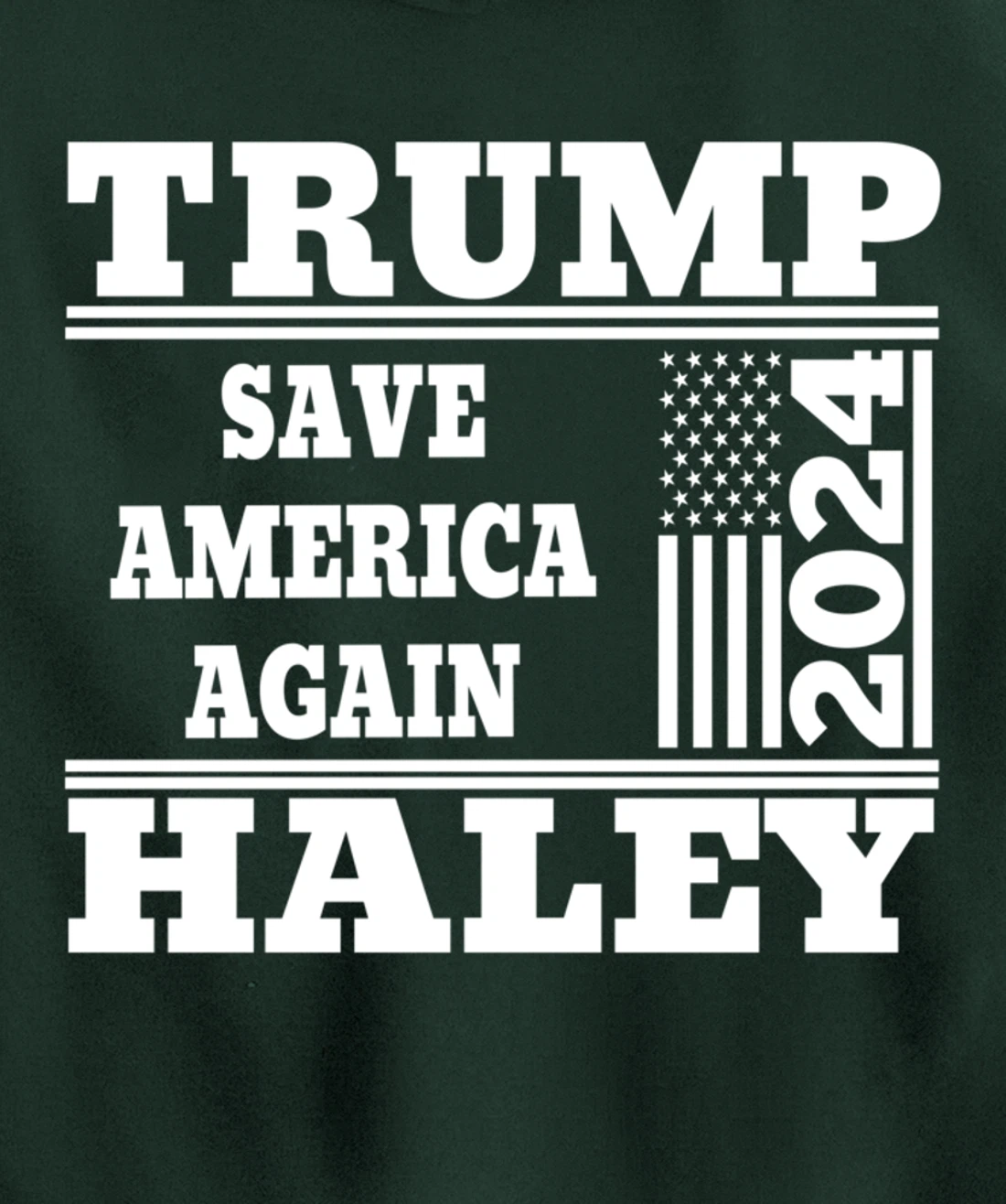 Trump Haley 2024 Save America Again American Flag Trump 2024 Pullover Hoodie