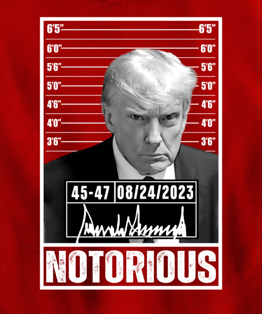 Notorious Trump 2024 Mug shot Iconic Jail Mugshot picture Pullover Hoodie