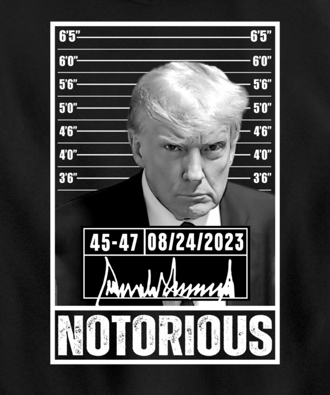 Notorious Trump 2024 Mug shot Iconic Jail Mugshot picture Pullover Hoodie