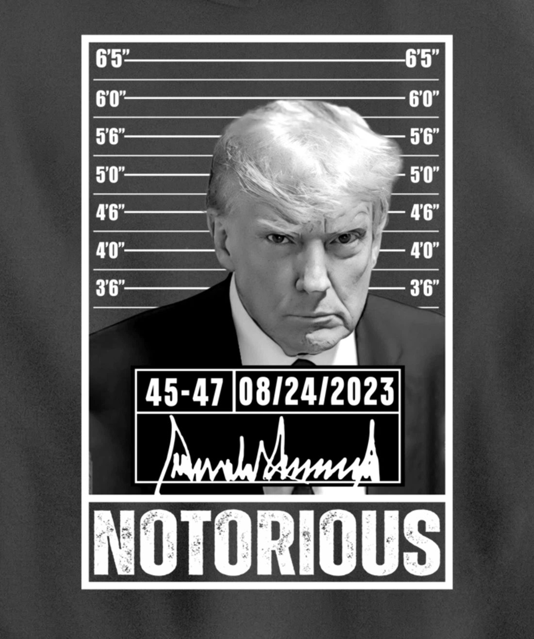 Notorious Trump 2024 Mug shot Iconic Jail Mugshot picture Pullover Hoodie