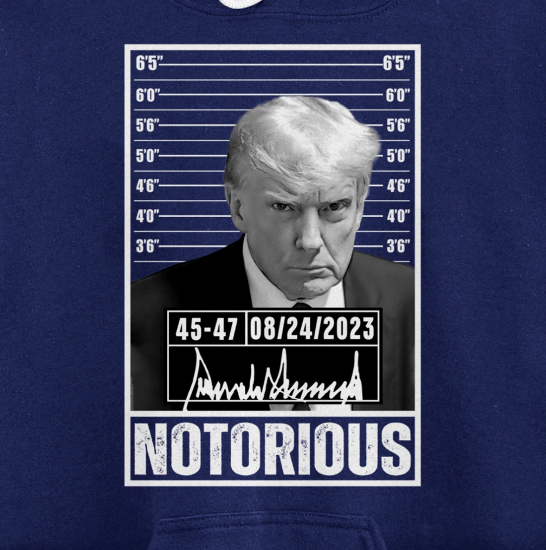 Notorious Trump 2024 Mug shot Iconic Jail Mugshot picture Pullover Hoodie