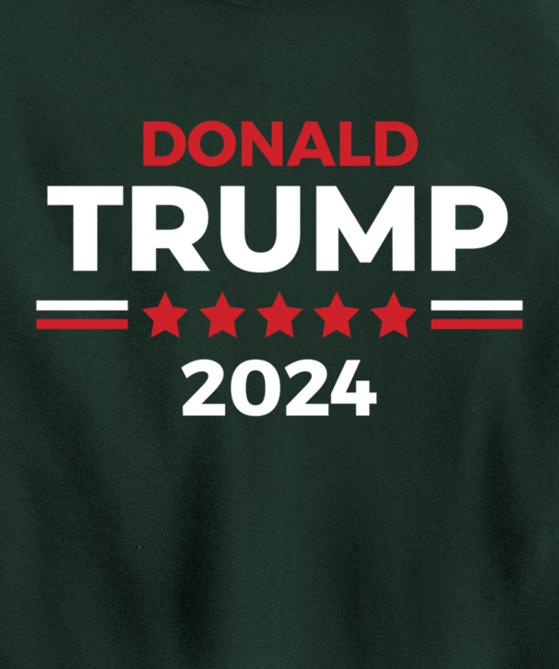 Re-Elect President Donald Trump in 2024 Pullover Hoodie