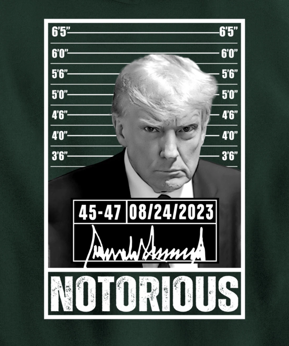 Notorious Trump 2024 Mug shot Iconic Jail Mugshot picture Pullover Hoodie