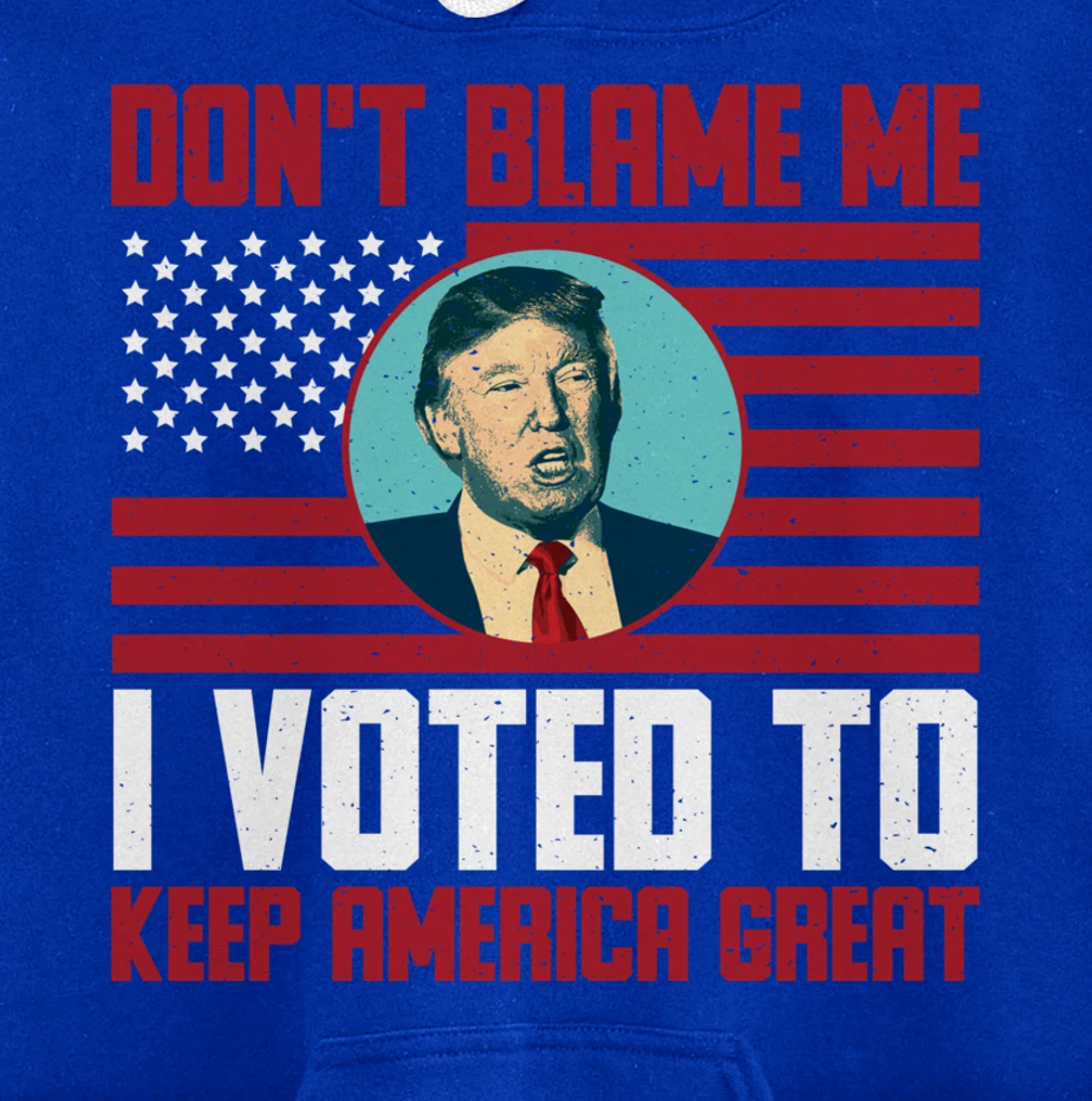 Dont Blame Me Donald Trump Tee Pro Trump Election 2024 Pullover Hoodie