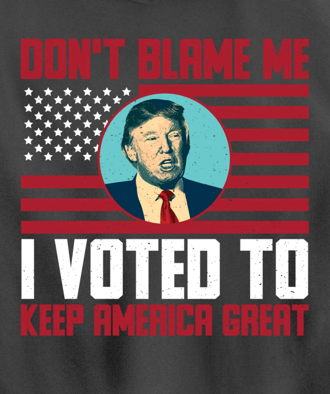 Dont Blame Me Donald Trump Tee Pro Trump Election 2024 Pullover Hoodie