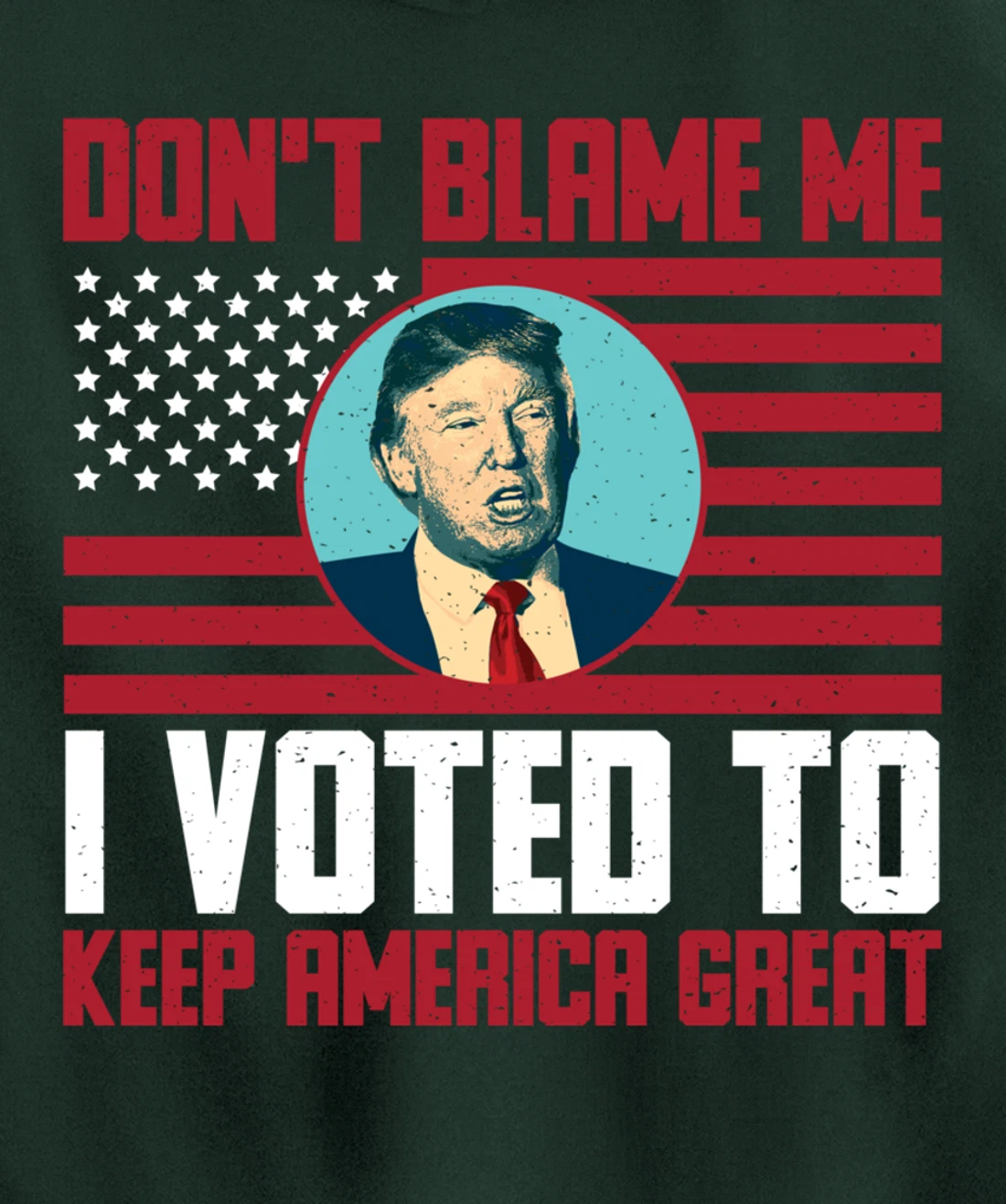 Dont Blame Me Donald Trump Tee Pro Trump Election 2024 Pullover Hoodie