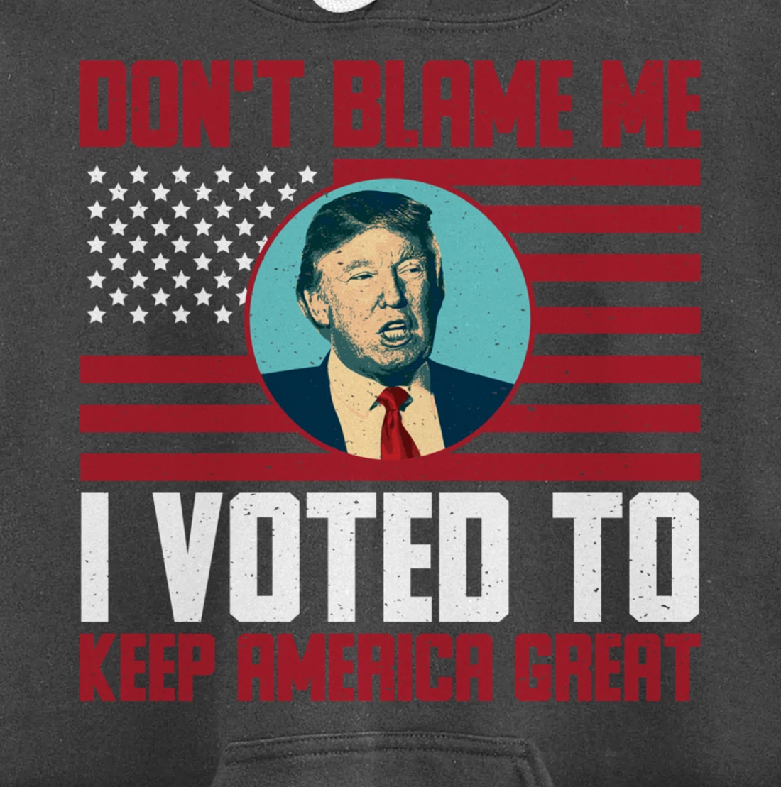 Dont Blame Me Donald Trump Tee Pro Trump Election 2024 Pullover Hoodie