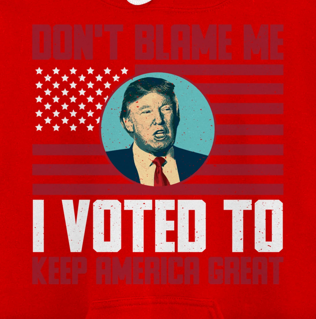 Dont Blame Me Donald Trump Tee Pro Trump Election 2024 Pullover Hoodie