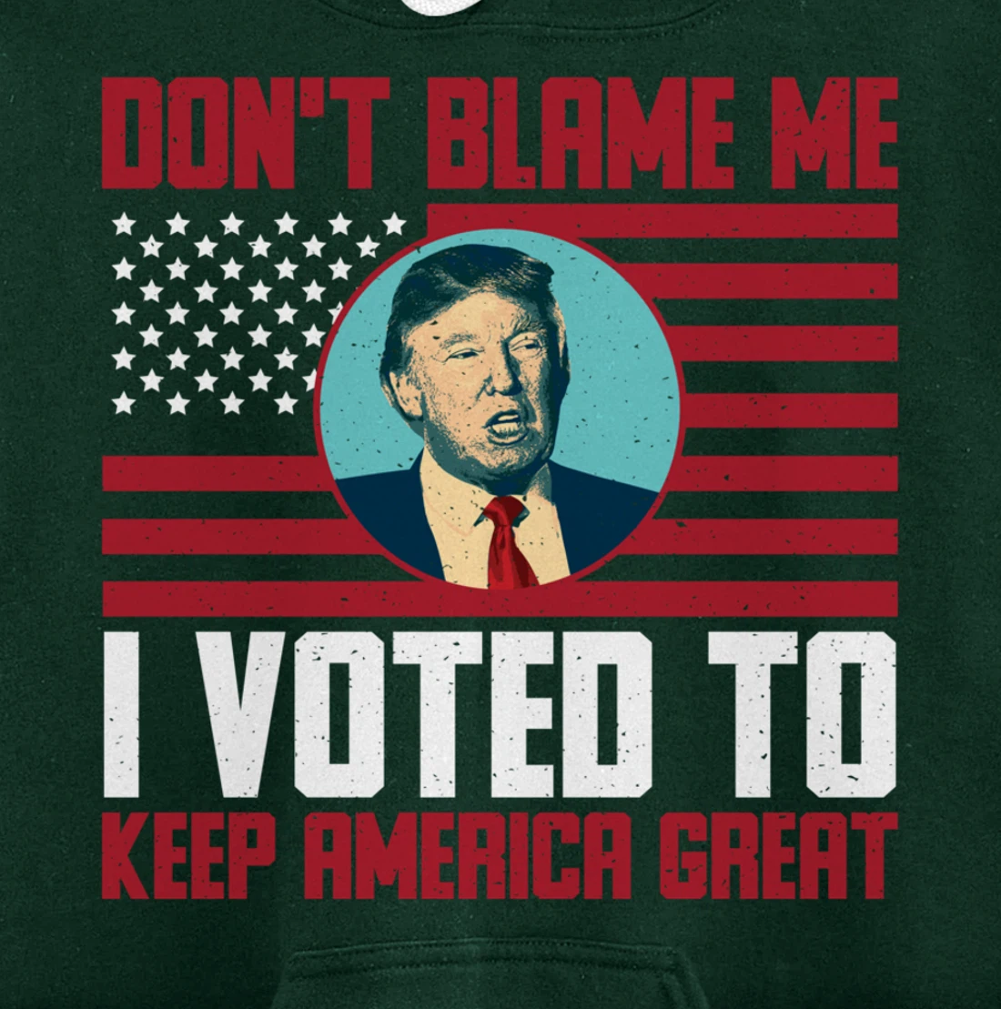 Dont Blame Me Donald Trump Tee Pro Trump Election 2024 Pullover Hoodie