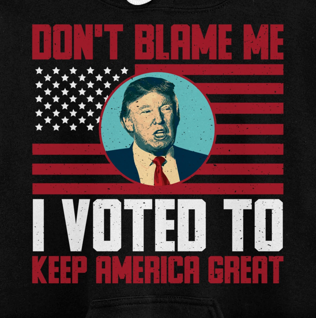 Dont Blame Me Donald Trump Tee Pro Trump Election 2024 Pullover Hoodie