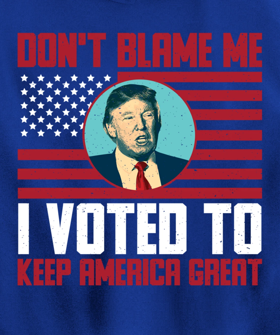 Dont Blame Me Donald Trump Tee Pro Trump Election 2024 Pullover Hoodie