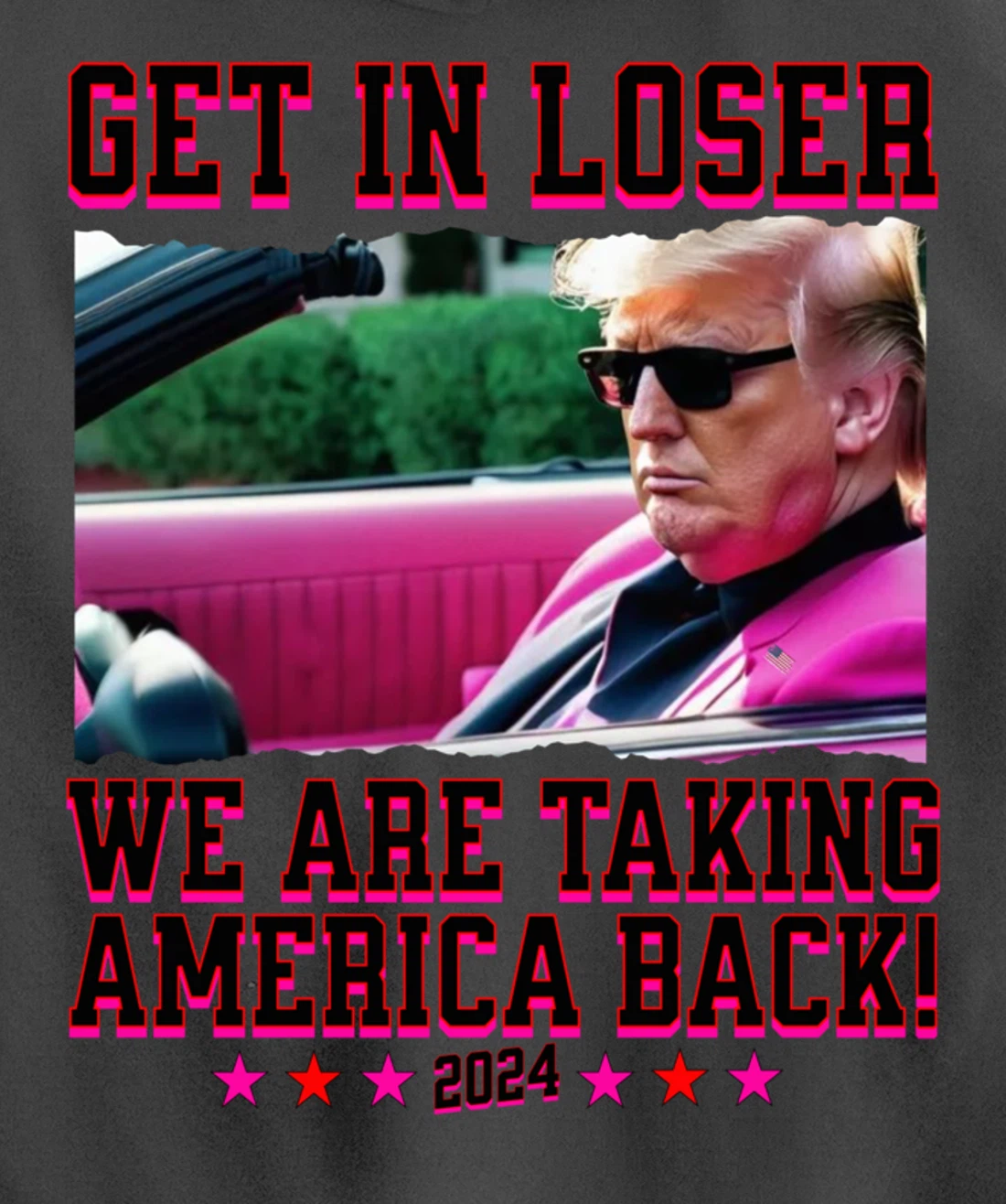 Get In Loser We Are Taking America Back Pink Trump 2024 Pullover Hoodie