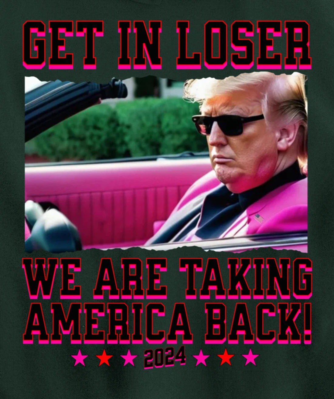 Get In Loser We Are Taking America Back Pink Trump 2024 Pullover Hoodie
