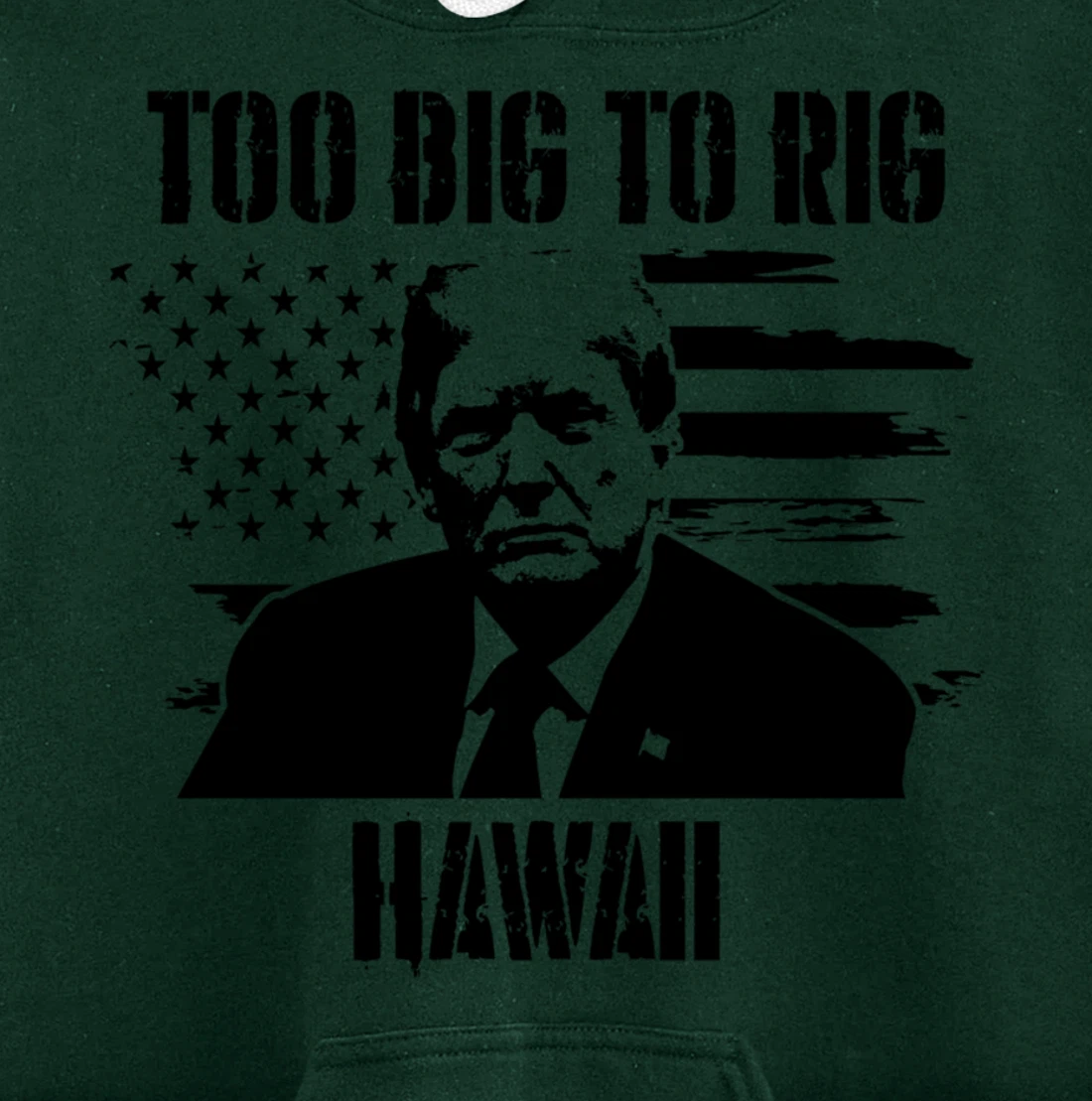 Too Big To Rig Hawaii Trump 2024 Pullover Hoodie