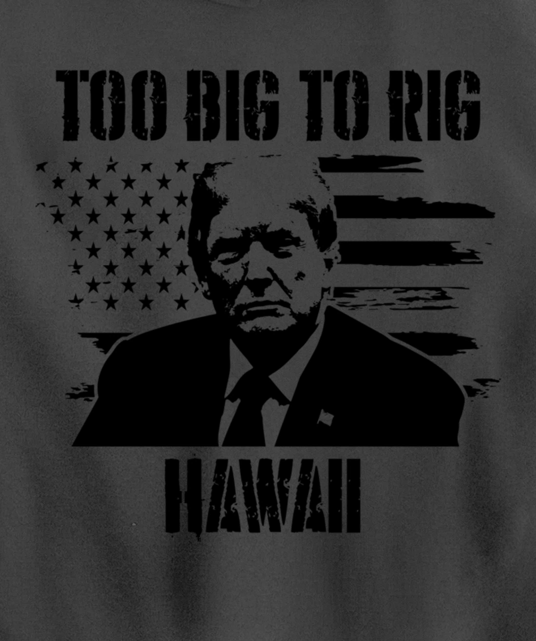 Too Big To Rig Hawaii Trump 2024 Pullover Hoodie